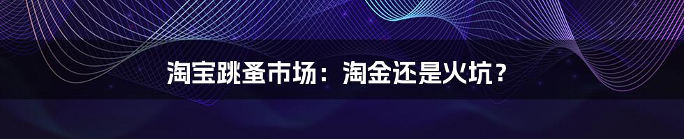淘宝跳蚤市场：淘金还是火坑？