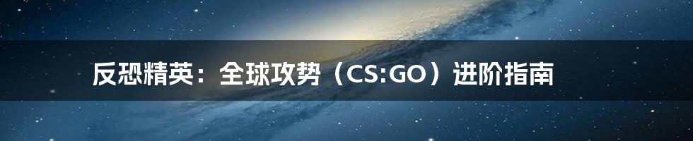 反恐精英：全球攻势（CS:GO）进阶指南