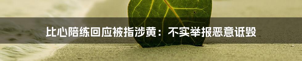 比心陪练回应被指涉黄:不实举报恶意诋毁