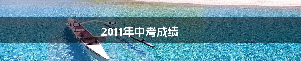 2011年中考成绩