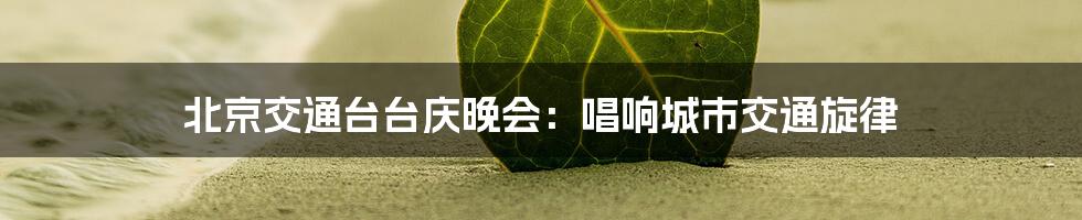 北京交通台台庆晚会:唱响城市交通旋律