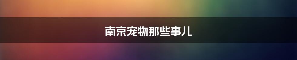 南京宠物那些事儿