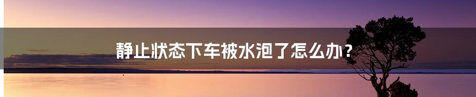 静止状态下车被水泡了怎么办?