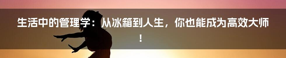 生活中的管理学：从冰箱到人生，你也能成为高效大师！