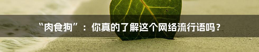 “肉食狗”:你真的了解这个网络流行语吗?