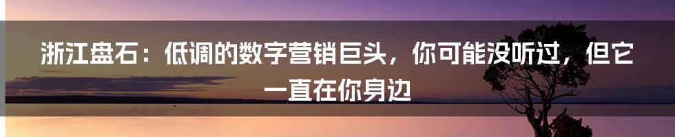 浙江盘石:低调的数字营销巨头,你可能没听过,但它一直在你身边
