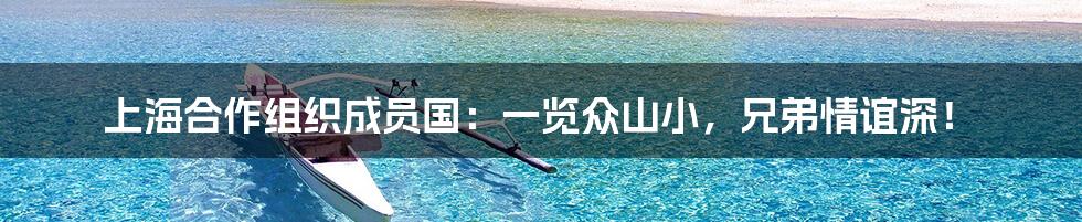 上海合作组织成员国:一览众山小,兄弟情谊深!