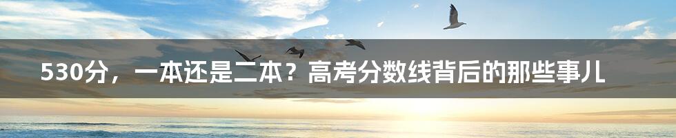 530分,一本还是二本?高考分数线背后的那些事儿