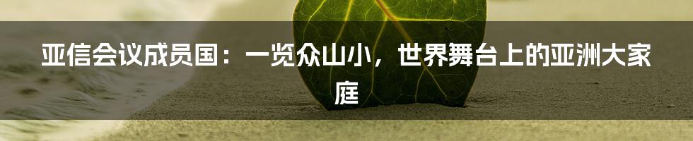 亚信会议成员国：一览众山小，世界舞台上的亚洲大家庭