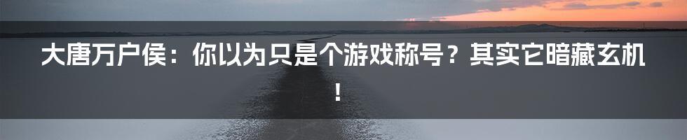 大唐万户侯:你以为只是个游戏称号?其实它暗藏玄机!