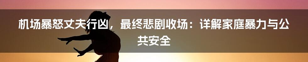 机场暴怒丈夫行凶,最终悲剧收场:详解家庭暴力与公共安全