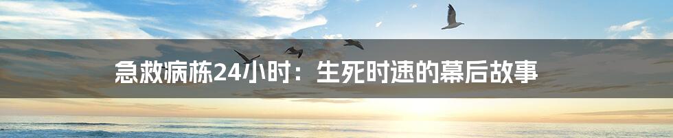 急救病栋24小时:生死时速的幕后故事