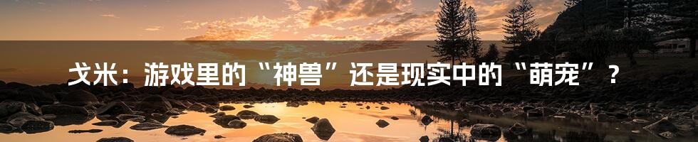 戈米:游戏里的“神兽”还是现实中的“萌宠”?