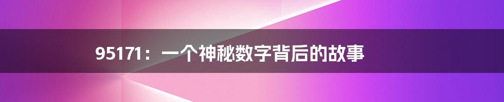95171：一个神秘数字背后的故事