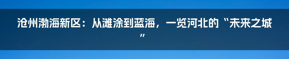 沧州渤海新区:从滩涂到蓝海,一览河北的“未来之城”