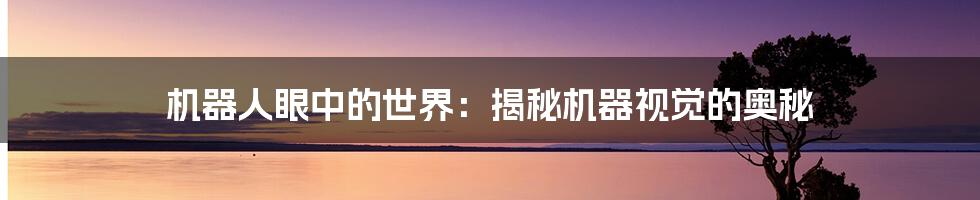 机器人眼中的世界:揭秘机器视觉的奥秘