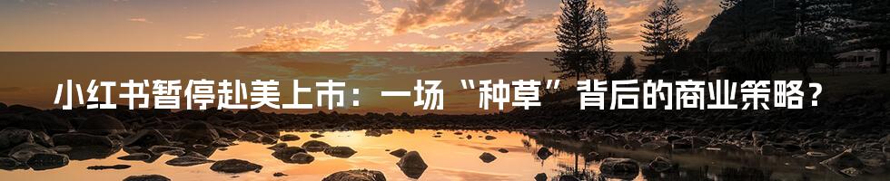 小红书暂停赴美上市:一场“种草”背后的商业策略?