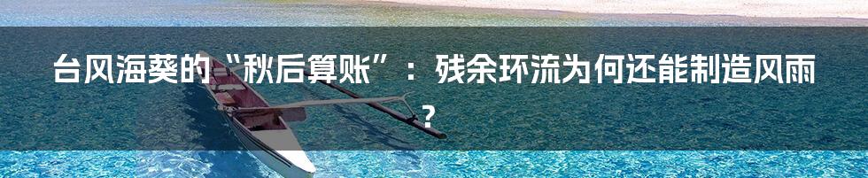 台风海葵的“秋后算账”:残余环流为何还能制造风雨?