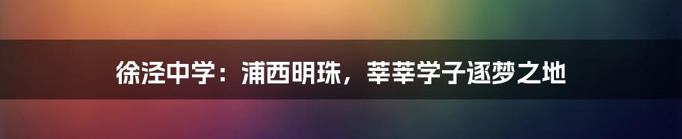 徐泾中学：浦西明珠，莘莘学子逐梦之地