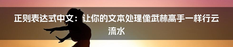 正则表达式中文:让你的文本处理像武林高手一样行云流水