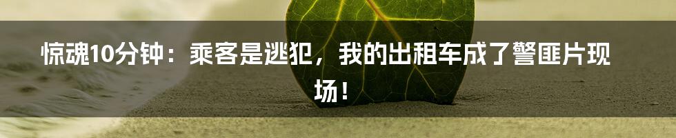惊魂10分钟:乘客是逃犯,我的出租车成了警匪片现场!