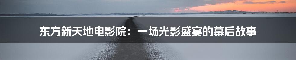 东方新天地电影院:一场光影盛宴的幕后故事