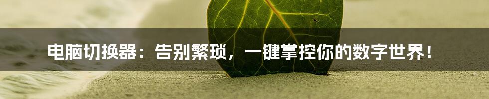 电脑切换器:告别繁琐,一键掌控你的数字世界!