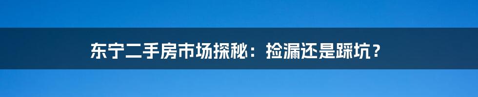 东宁二手房市场探秘:捡漏还是踩坑?