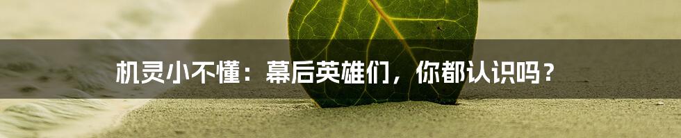 机灵小不懂:幕后英雄们,你都认识吗?