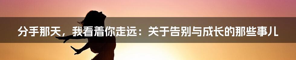 分手那天,我看着你走远:关于告别与成长的那些事儿