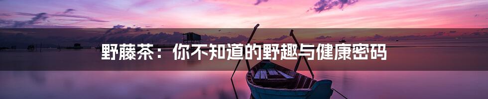 野藤茶:你不知道的野趣与健康密码