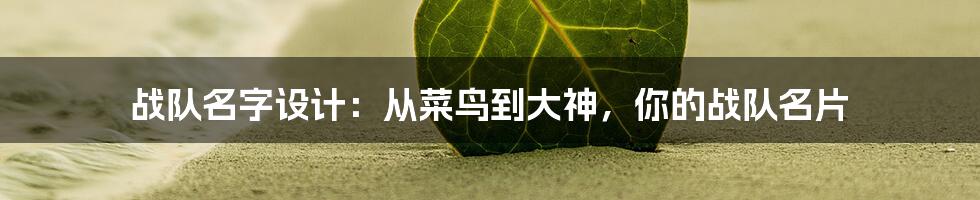 战队名字设计:从菜鸟到大神,你的战队名片