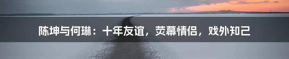 陈坤与何琳:十年友谊,荧幕情侣,戏外知己