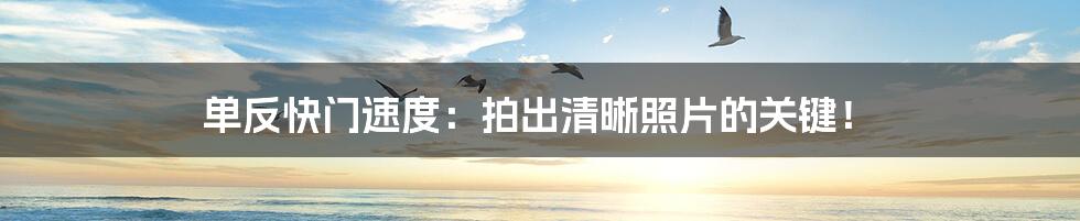 单反快门速度：拍出清晰照片的关键！