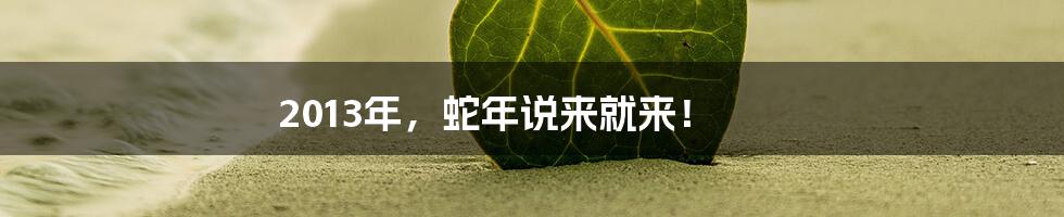 2013年,蛇年说来就来!