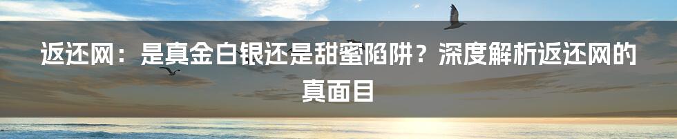 返还网:是真金白银还是甜蜜陷阱?深度解析返还网的真面目