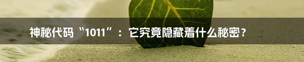 神秘代码“1011”:它究竟隐藏着什么秘密?