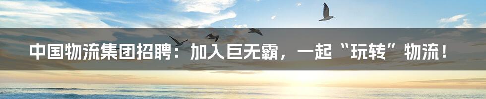 中国物流集团招聘:加入巨无霸,一起“玩转”物流!