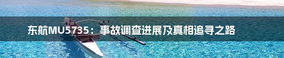 东航MU5735:事故调查进展及真相追寻之路