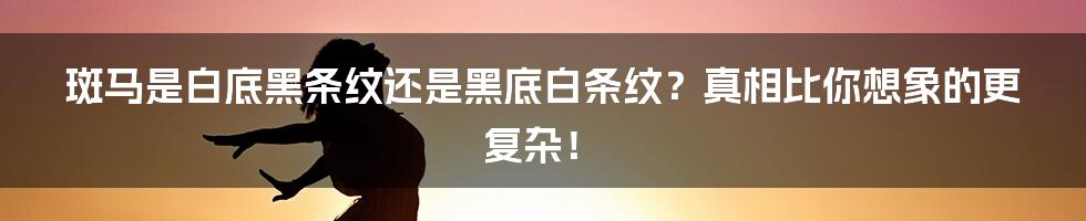 斑马是白底黑条纹还是黑底白条纹？真相比你想象的更复杂！