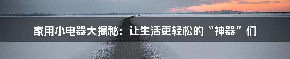 家用小电器大揭秘:让生活更轻松的“神器”们