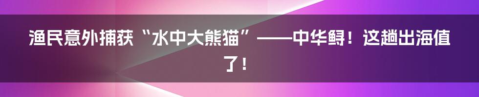 渔民意外捕获“水中大熊猫”——中华鲟!这趟出海值了!