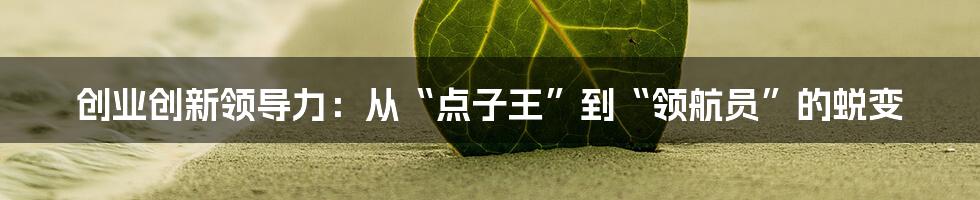 创业创新领导力:从“点子王”到“领航员”的蜕变