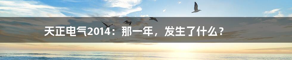 天正电气2014:那一年,发生了什么?