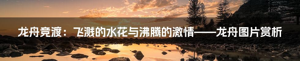 龙舟竞渡:飞溅的水花与沸腾的激情——龙舟图片赏析