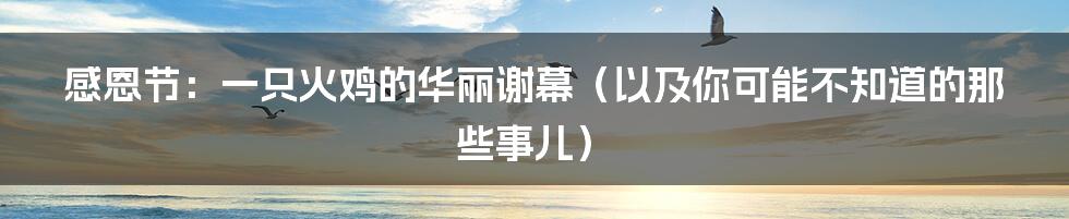 感恩节:一只火鸡的华丽谢幕(以及你可能不知道的那些事儿)