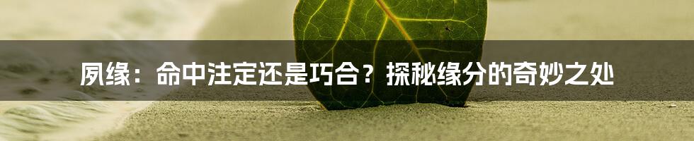 夙缘：命中注定还是巧合？探秘缘分的奇妙之处