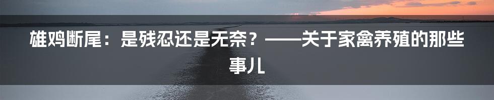 雄鸡断尾:是残忍还是无奈?——关于家禽养殖的那些事儿