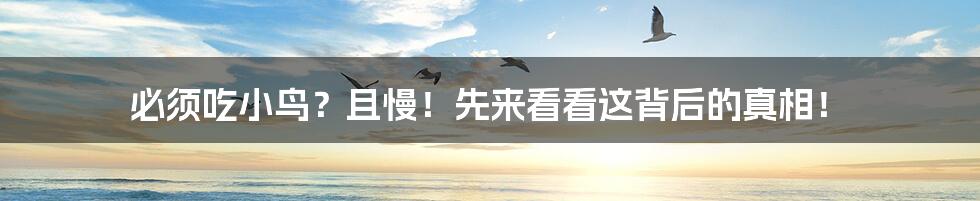 必须吃小鸟?且慢!先来看看这背后的真相!