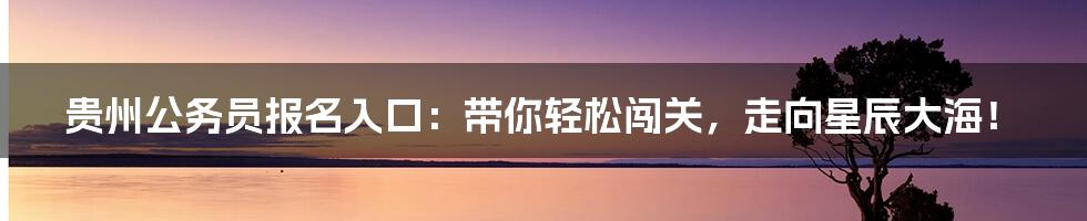 贵州公务员报名入口:带你轻松闯关,走向星辰大海!